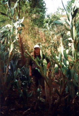 Botanischer Garten