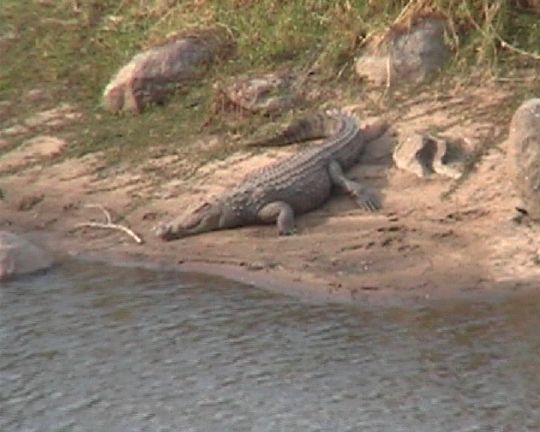 Hier sollte man nicht baden...